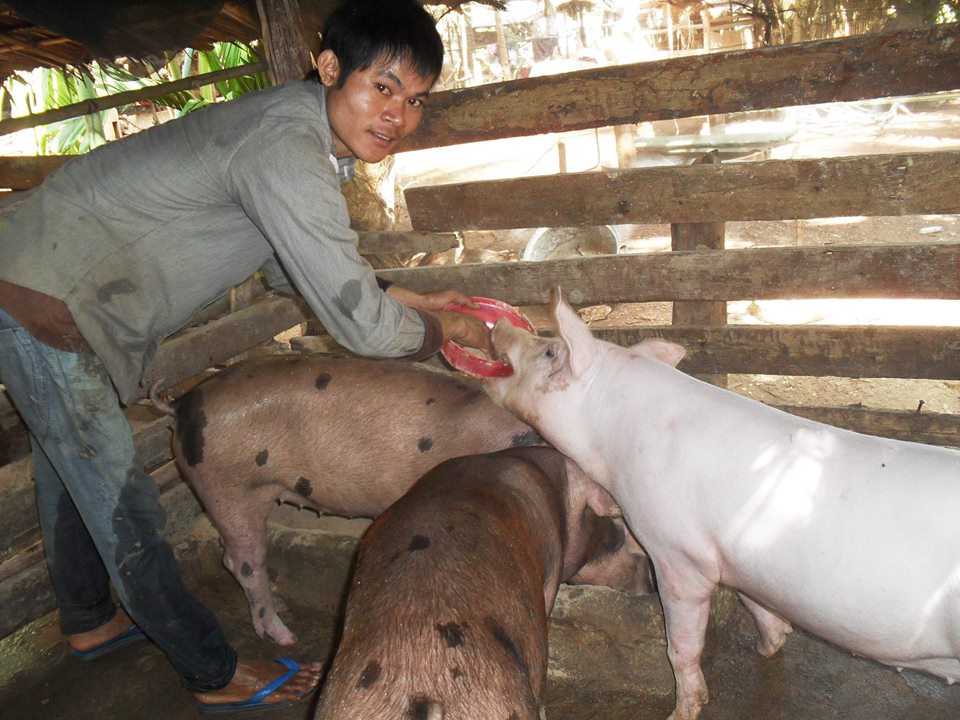 One of the participants in our animal husbandry program with his pigs.