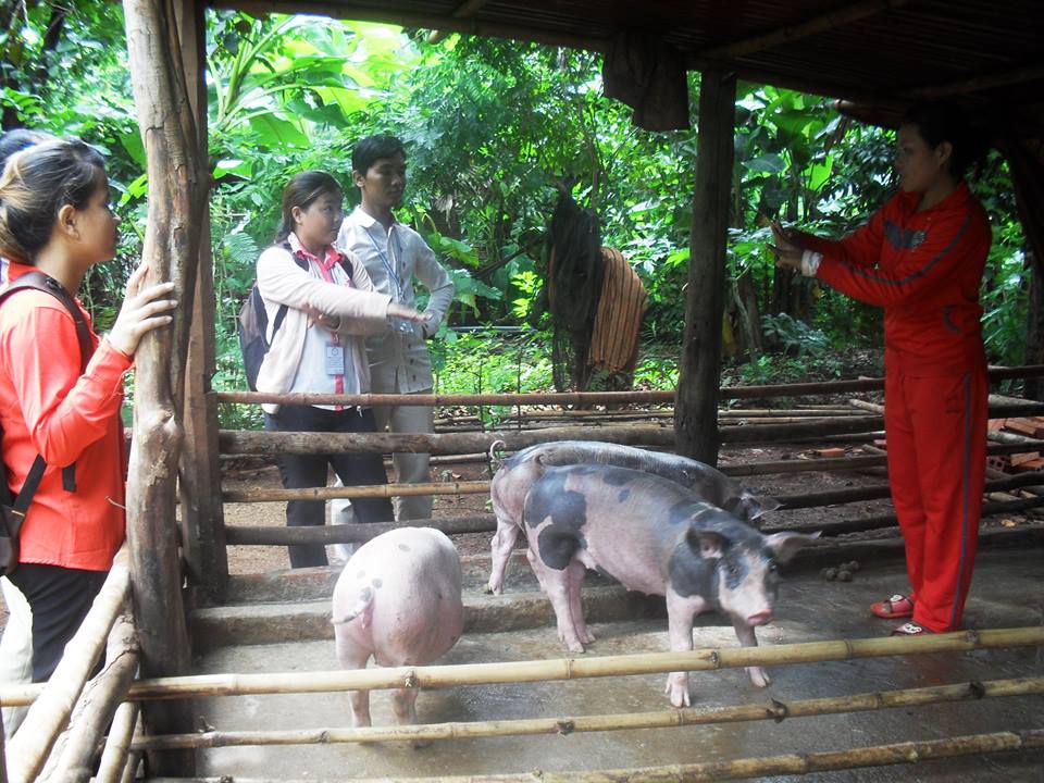 Kampong Cham field worker Sopheap and Agriculture Coordinator Ren talking with one of the animal husbandry participants
