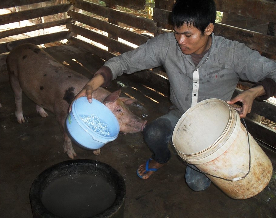 Agriculture training participant caring for his pig