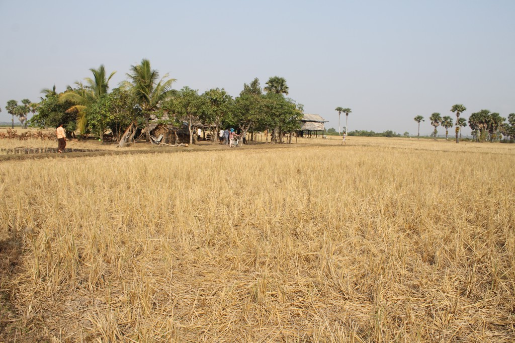 One of the homes was only accessible by foot, walking through harvested and dried out rice fields